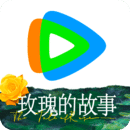 露跟高跟鞋叫什么